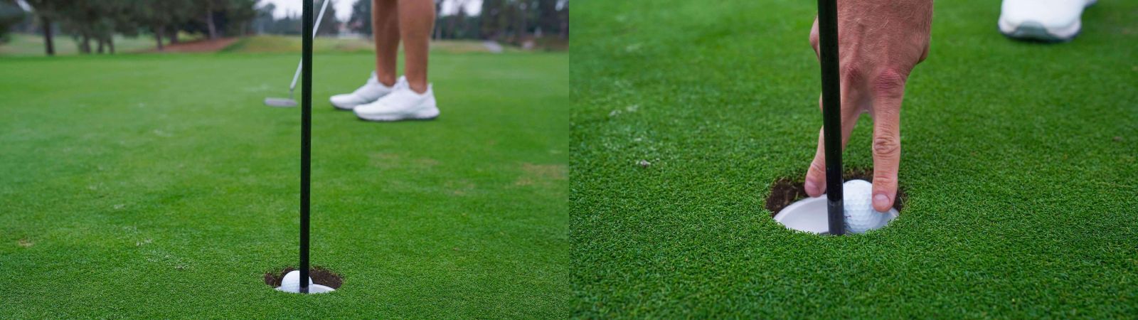 A picture containing grass, a golf cup, and golf green - Today's Golf Cup