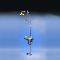 Shower with Aerated Eye and Face Wash
