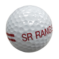 White 2-Piece Short Distance Driving Range Golf Ball - 1 Dozen