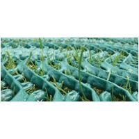 Grass Reinforcement Mesh