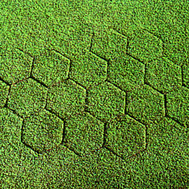 Miltona 7 Inch Hex-Plugger