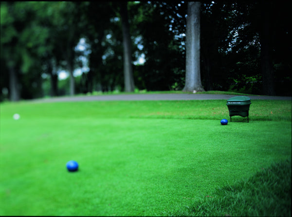 Par Aide Divot Mate with Low Stand